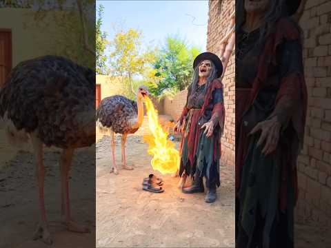 A sent help for allah save him #emotional #india #ytshorts #prayer