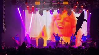 Aquabats 2/11/23 - Hot Summer Nights