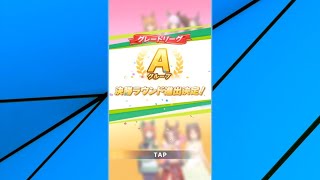 ウマ娘　実況　チャンピオンズミーティングMILEグレードリーグ　ラウンド２　決勝もタイシンで行くぞ