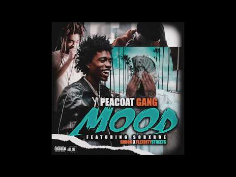 Mood Feat. SOB X RBE (Daboii, Flexcitystreets)