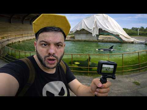 MARINELAND À L’ABANDON ? ( ce qu’on a vu...)