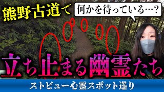霊が視える人と一緒に「熊野古道」のストビューを見たら、どこもかしこも「立ち止まって何かを待っている様子の幽霊」だらけで困惑…。いったいどういうこと？みんなも考察してくれ…！【ストビュー心スポ巡り】