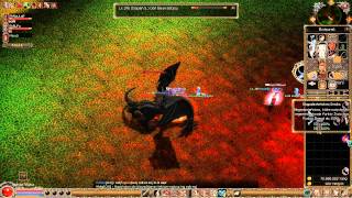 iMetin- Test obrażeń na dziko + bonus ^^