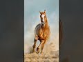 Horse Running Sound