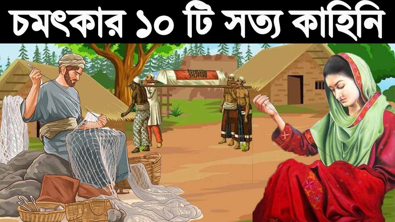 একসাথে চমৎকার ১০ টি সত্য ঘটনা || Best 10 Animation Moral Story || The Moral Tv