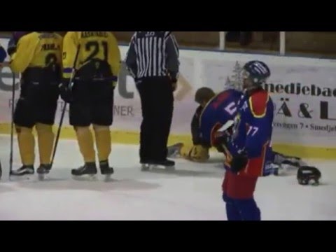 Ludvika vs Fagersta PlayOff, End fight Match 2/3