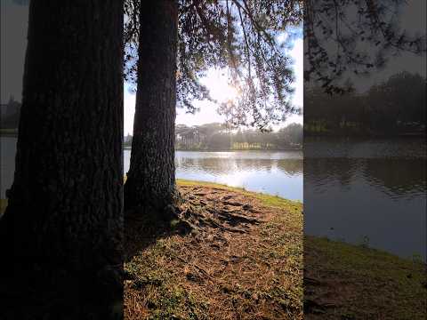 🍎✨ Bem-vindo a Fraiburgo — A Terra da Maçã!