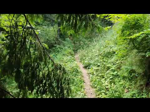 PE POTECA INGUSTA SPRE ZONA ,,LA VERDEATA'' DIN VALEA ALBA A BUCEGILOR