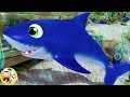 Baby Shark Little Baby Bum Animal Club Fun Songs For Kids