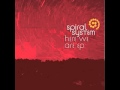 "Elephant" (Dub mix) - Spiral System 