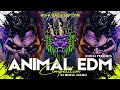 ANIMAL EDM High Bass Jump Trance DJ Mukul Jhansi