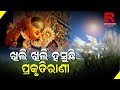 ଆସିଛି ପାର୍ବଣ ହସୁଛି କାଶତଣ୍ଡୀ ମା’ଦୂର୍ଗାଙ୍କ ଆଗମନ ପାଇଁ ସଜେଇ ହେଲାଣି ପ୍ରକୃତିରାଣୀ