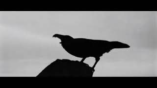 Forest of Shadows - Lost Within (Unofficial Video)