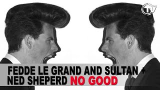 Fedde Le Grand and Sultan + Ned Shepard - No Good (Extended Mix)