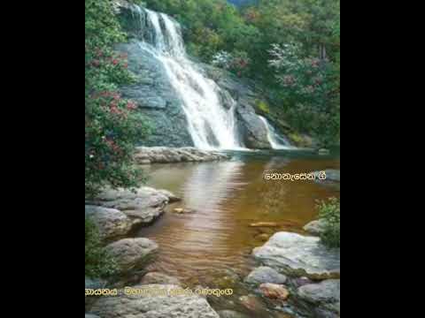 amara ranathunga- aruna udawai