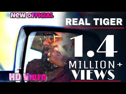 The Real Tiger 7 || Rabari superstar  2 || Full Video  HD.