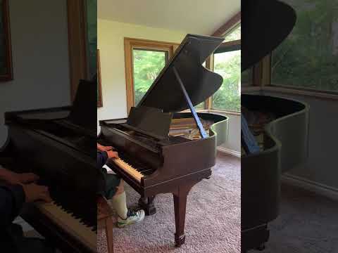 Steinway & Sons M 5'7 Grand Piano – Mahogany Powerful Tone image 9