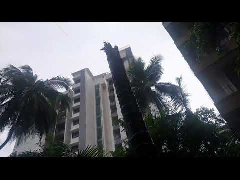 Effects Of Taukatae Cyclone At My Building And Surrounding Area.