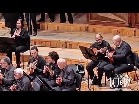 JESÚS SEVILLANO - CASTA PALOMA