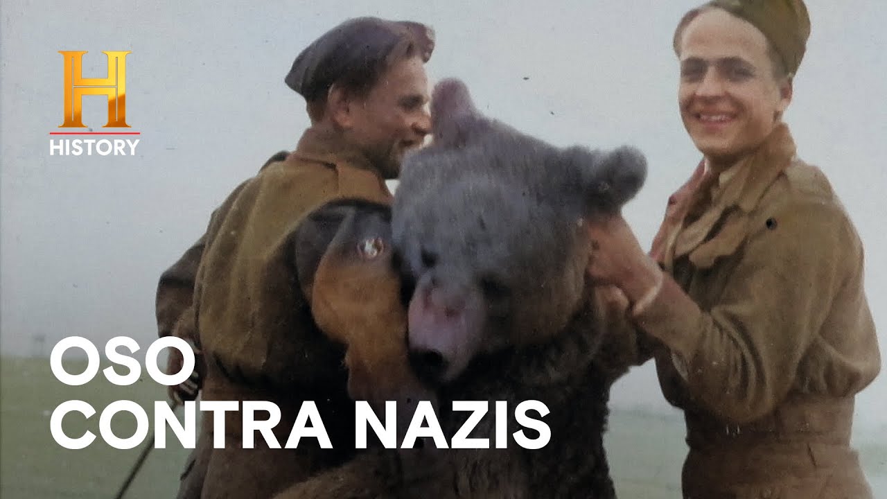 Animales de Guerra - INCREÍBLE CON DAN AYKROYD