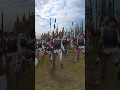 Why Spearmen with Shield is the best line infantry for the Empire in #totalwarwarhammer3