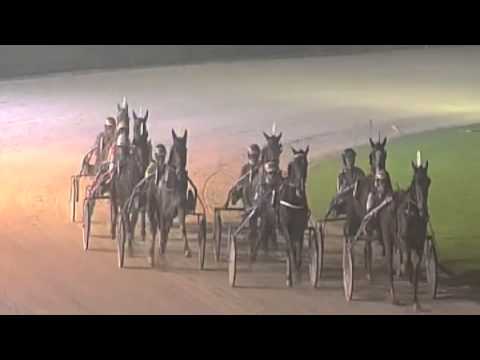 Avenue Transs R & Bas Crebas (tr.) winnen Venividivici Joe Cup  - Alkmaar 18 nov. 2013