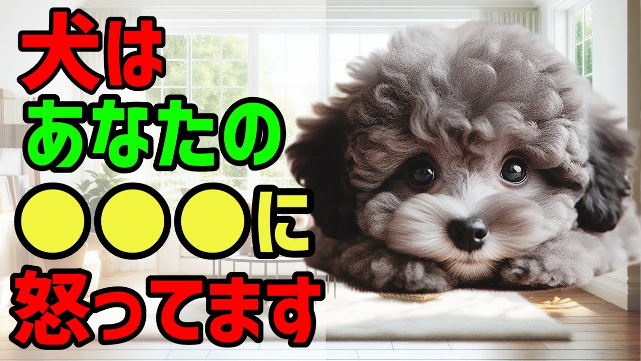 犬はあなたの●●に怒ってます 雑学 保護犬 熱中症 子犬 dog 犬のいる生活 豆知識