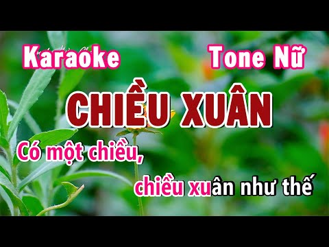 Chiều Xuân Karaoke Tone Nữ (Mi Thứ) | Karaoke Hiền Phương