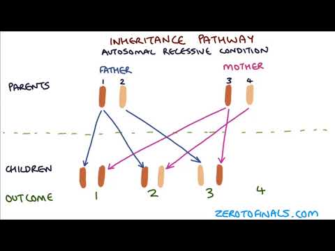 Understanding Autosomal Dominant and Autosomal Recessive Inheritance