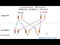 Understanding Autosomal Dominant and Autosomal Recessive Inheritance