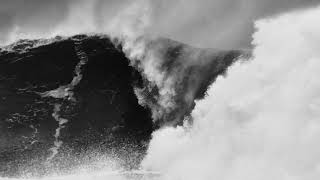 Assemblage 23 &quot;Mourn&quot; Album Trailer