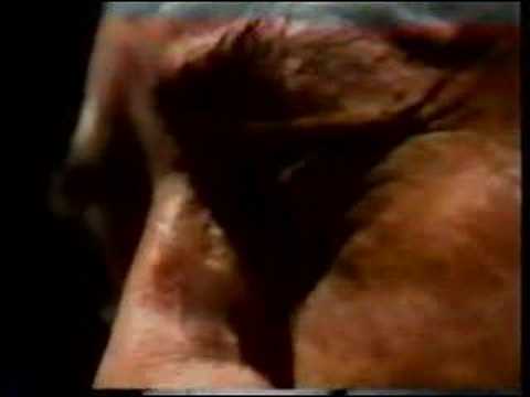 I left my heart in San Francisco Morks Jan 1980