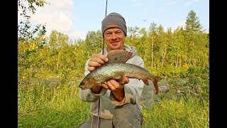 Ловля хариуса на полярном урале