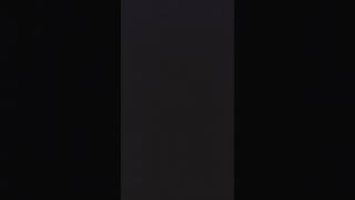 Download lagu Sound Effect Palang Pintu Kereta Api Bayuwangi mp3 Download lagu Sound Effect Palang Pintu Kereta Api Bayuwangi mp3