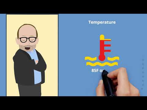 Applied Molecules Safety #4 (Protect, Bond, Seal, Print) - Introducing the Enhanced SDS