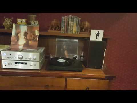 turntable trash - Warren Zevon - gorilla your a desperado