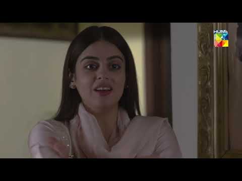Bebaak - Episode 47 - Best Scene 04 - HUM TV