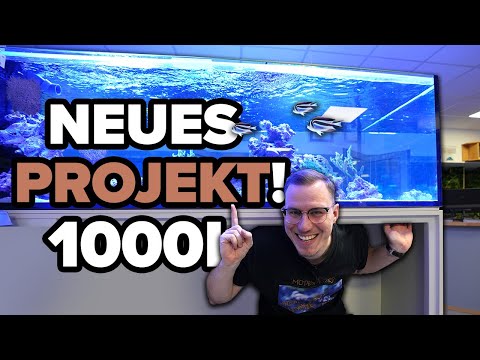 New 1000 LITER AQUARIUM - Let the games begin... 🐠