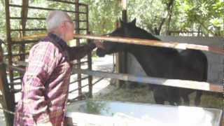 Moby Grape - It's a Beautiful Day Today