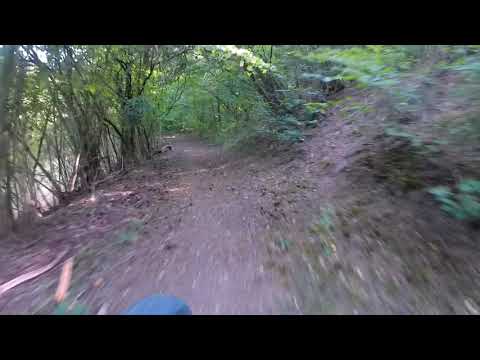 Traumtrails auf dem Scheid (Volkmarsen)