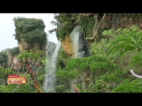 The Making of Pandora