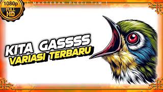 Download lagu 🔴 LIVE Masteran Pleci Tembakan VARIASI Terbaru !!! mp3