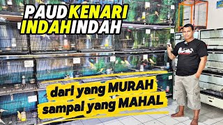 Download lagu REVIEW PAUD KENARI‼️Abundant stock from CHEAP to EXPENSIVE... mp3