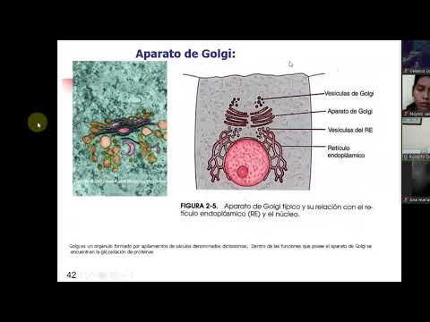 MOR112 24-05-21 B  ANATOMIA Y FISIOLOGIA