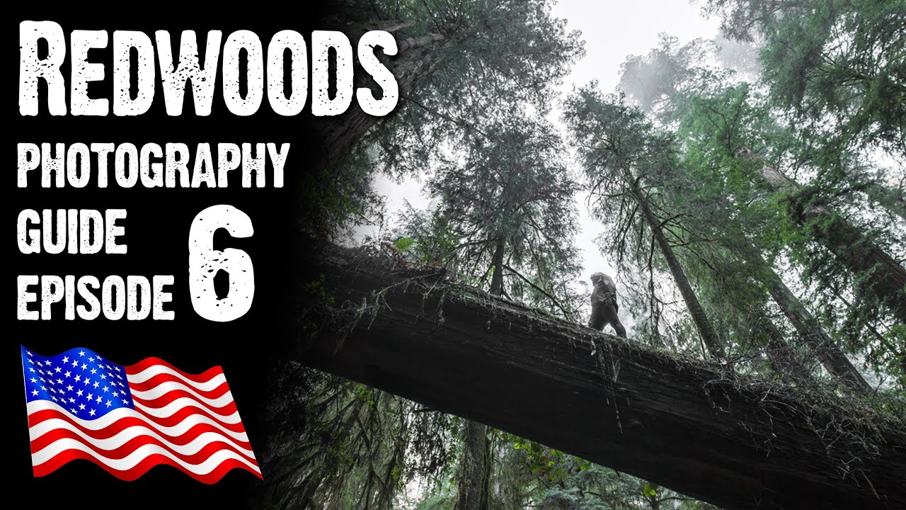 JEDEDIAH SMITH REDWOODS STATE PARK - Landscape Photography USA