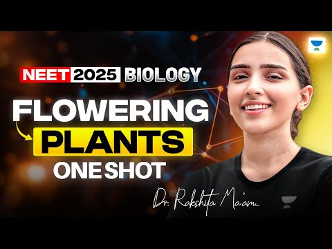 NEET 2025 Biology: Flowering Plants | Biology One Shot | Dr. Rakshita Singh
