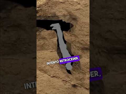 Trapped in a Cave for Over 15 Years #context #nuttyputty #cave #johnjones #cave #cave