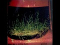 Nels Cline Trio  -  beer bottle collection