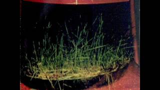 Nels Cline Trio  -  beer bottle collection