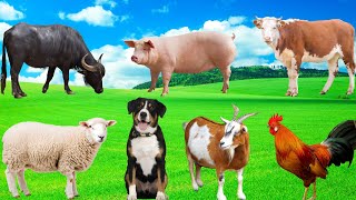 Happy Farm Animals - Cow, Sheep, Chicken, Goat, Duck, Pig, Buffalo - Animal Sounds